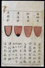 File C14 Chinese Tongue Diagnosis Chart Wellcome L0039595
