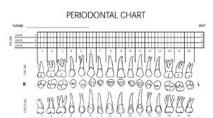 Dental Chart Forms Sada Margarethaydon Com