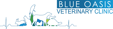 Feel free to check out the video below explaining our most popular. Blue Oasis Veterinary Clinic Dubai