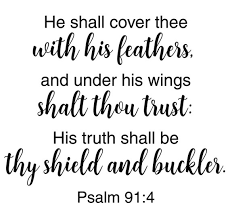 Psalm 91:4 KJV He Shall Cover Thee With His Feathers Bible | Etsy India