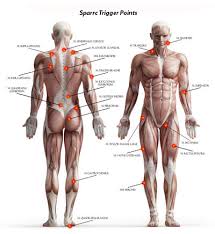 myofascial trigger point release work