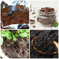 what to do with old used coffee grounds