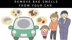 how to remove fish smell from car 100