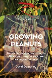 How To Grow Your Own Peanut Plant