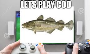 lets play cod flip