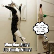 Image result for happy thursday funny