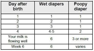 Wet Diapers Per Day Chart Bing Images Newborn Diapers