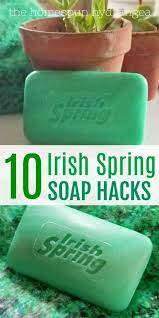 repel garden pests with irish spring soap