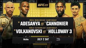 UFC 276: Adesanya vs Cannonier ...
