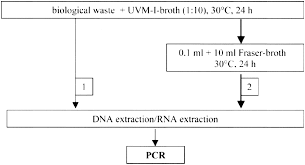 Fig 2 Applied And Environmental Microbiology