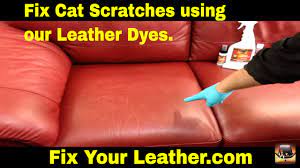 fix cat scratches on a leather couch