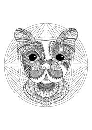 Free printable mandala and zentangle coloring pages. Animal Mandala Coloring Pages Best Coloring Pages For Kids
