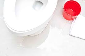 learn why your toilet may be leaking