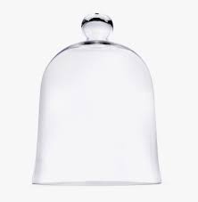 Glass Dome Bell Jar Cloche 12 X 16