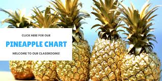 Pineapple Chart St James Middle School Pd