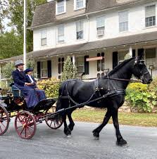 annual carriage procession