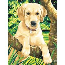 Labrador Reeves Paint By Numbers Art World Online Ltd