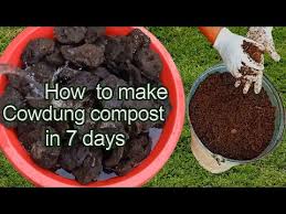 How To Make Compost From Cow Dung How