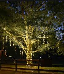 Lights Outdoor Trees