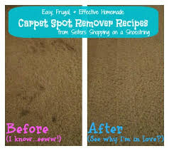 homemade carpet spot remover recipes