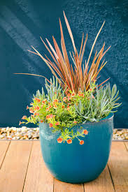 Water Wise Container Plants That Look Good Do The Most