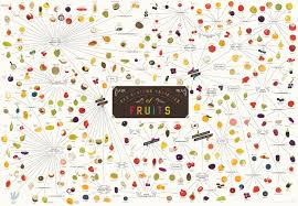 The Various Varieties Of Fruits Visual Ly