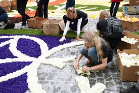 the magic of the brussels flower carpet