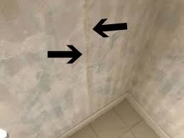 how to get rid of mold in the bathroom