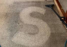 contact superior tile carpet care