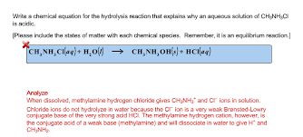 oneclass write a chemical equation for