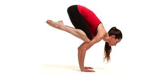 Bakasana (crane pose), and the similar kakasana (crow pose) are balancing asanas in hatha yoga and modern yoga as exercise. Yoga Poses Crane Pose Bakasana