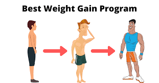 weight gain program for hard gainers