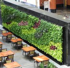 green wall design vertical garden