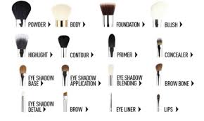makeup brushes dictionary musely