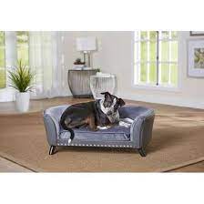 best dog couch beds so your pup can
