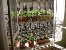 Small Balcony With Mini Gardens