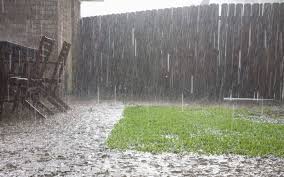 Lawn And Garden From Heavy Rain