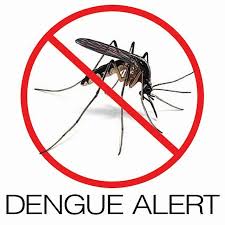 Image result for  डेंगू