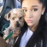 how-many-dogs-does-ariana-grande-have