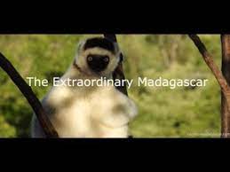 madagascar travels and tours 2021