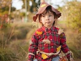 11 diy scarecrow costumes best