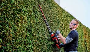 sharpen the hedge trimmer ein