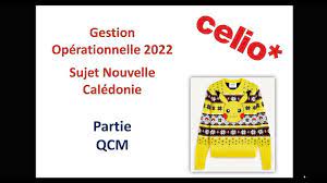 Sujet gestion Celio 2022 BTS MCO Nouvelle Calédonie Partie QCM - YouTube