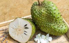 Graviola lebih kuat dari 1 tan buah durian belanda. Durian Belanda Merawat Kanser Mitos Atau Fakta Free Malaysia Today Fmt