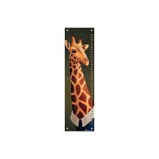 Tall Giraffe Growth Chart