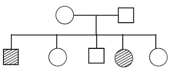 Answer To Question Given Below Is A Pedigree Chart Of A Family