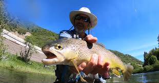 Here you will find wonderful trails that go along the best places to fish in missouri. 5 Incredible Fly Fishing Spots In Utah Ski Utah