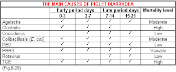 Diarrhoea Or Scours The Pig Site
