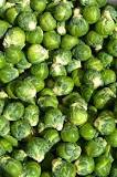 Are brussel sprouts the same as broccoli?