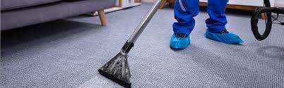 home steam green carpet cleaning and